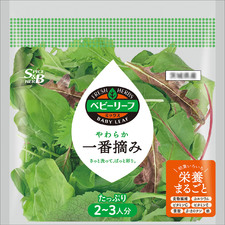 野うさぎ気分でハーブのサラダ レシピ S B エスビー食品株式会社