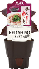 新商品・リフレッシュ品｜商品情報｜エスビー食品株式会社